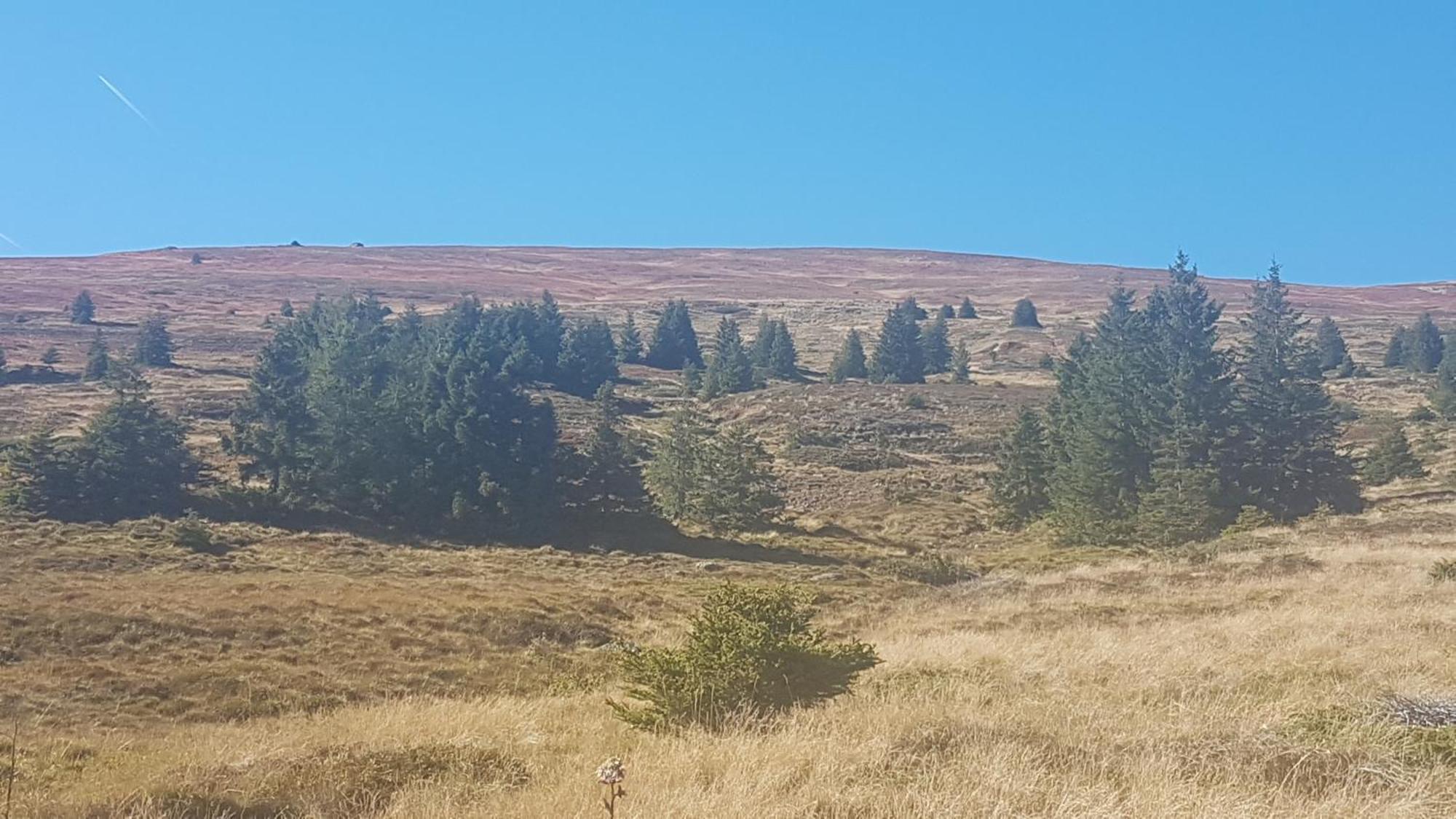 Ferienwohnungen Klimbacher Wolfsberg Cameră foto