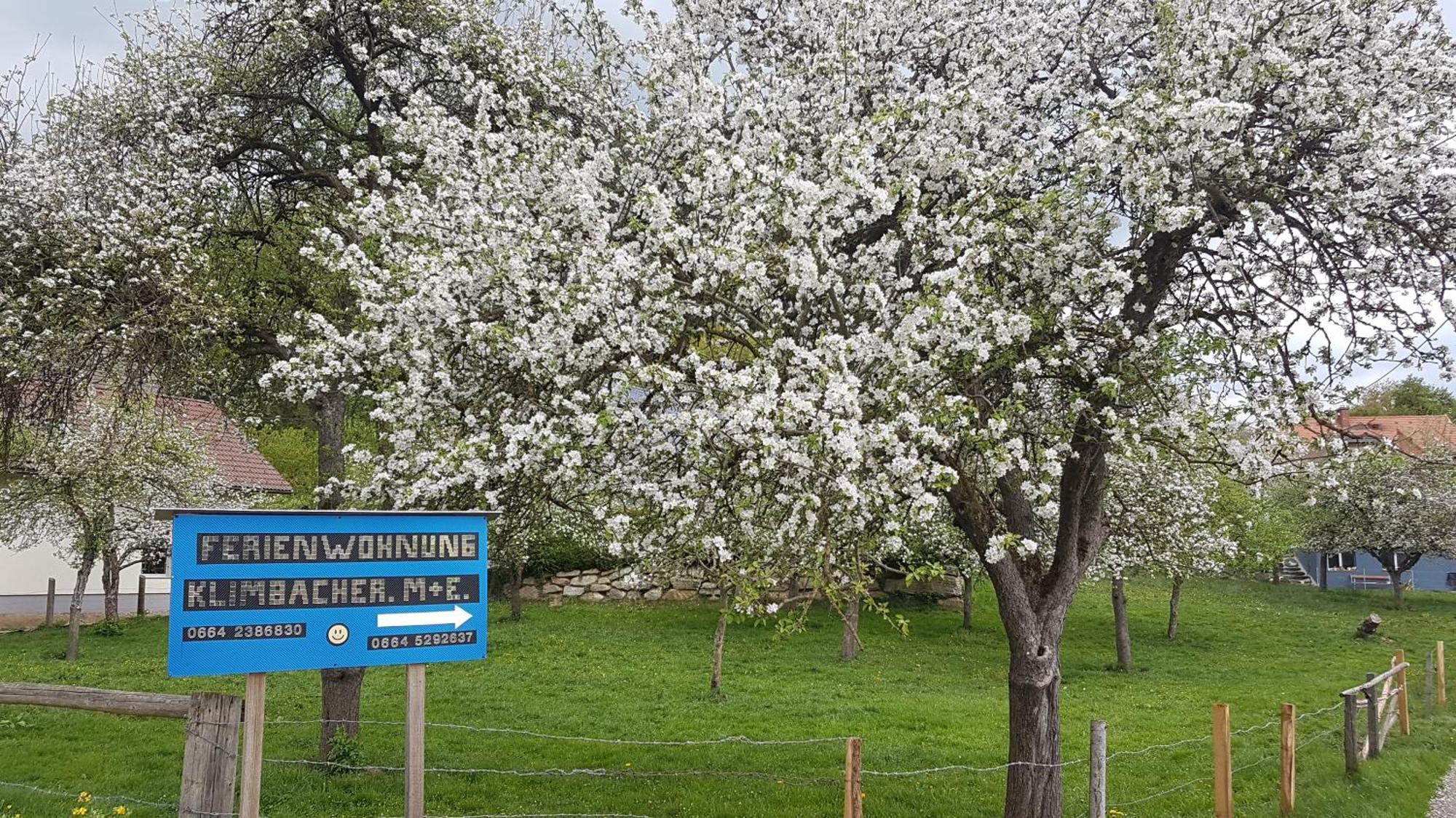 Ferienwohnungen Klimbacher Wolfsberg Cameră foto