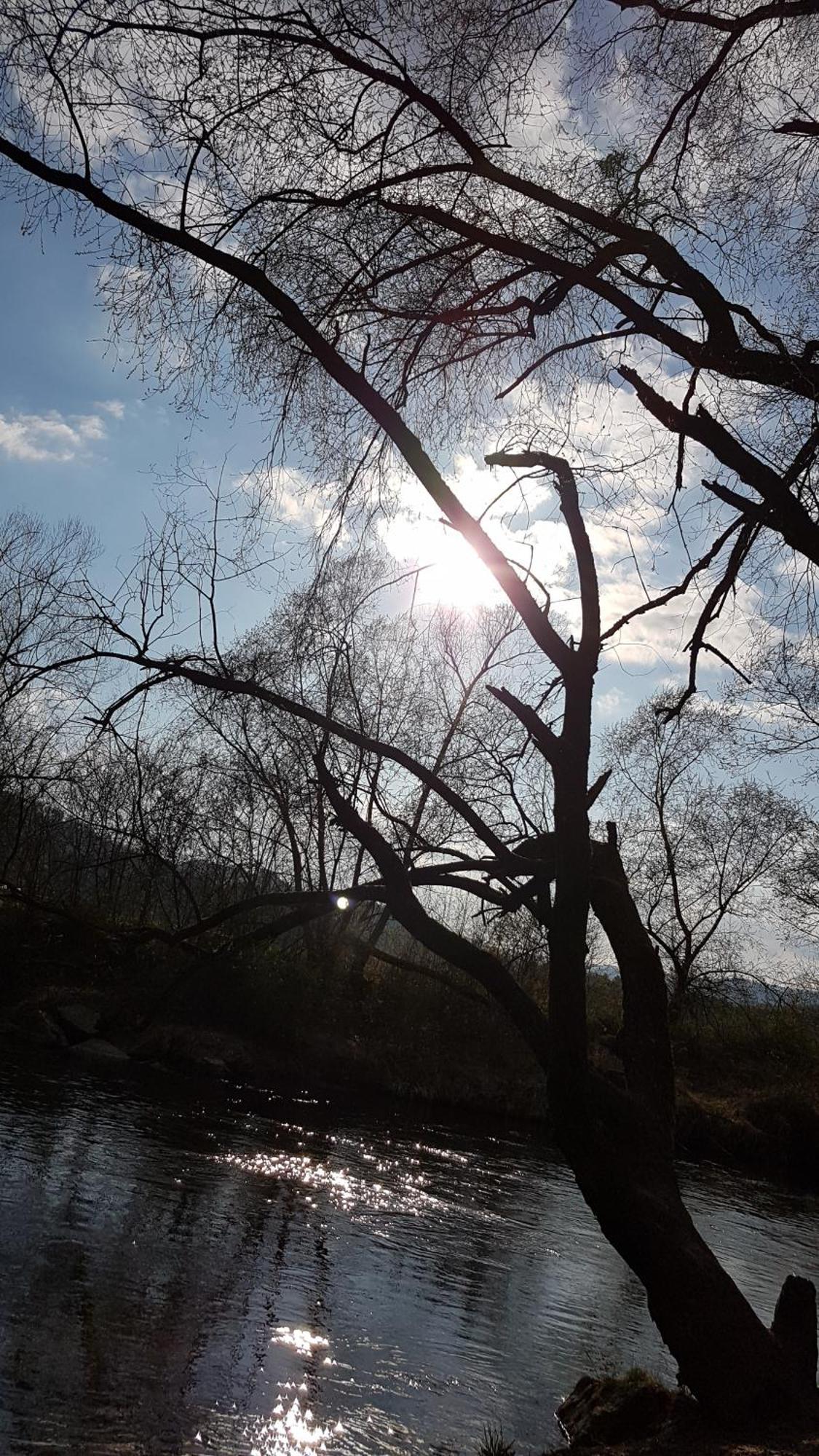 Ferienwohnungen Klimbacher Wolfsberg Cameră foto
